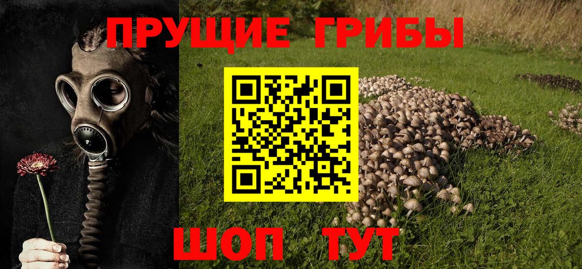 Галлюциногенные грибы Cubensis Менделеевск