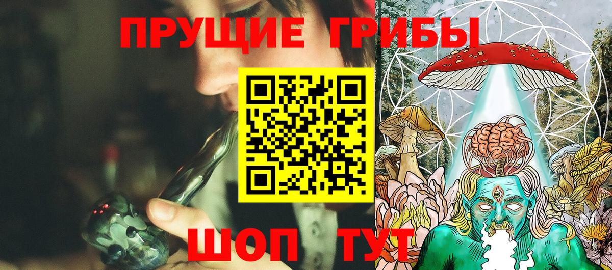 Менделеевск  Псилоцибиновые грибы Psilocybine cubensis  Вход с VPN 